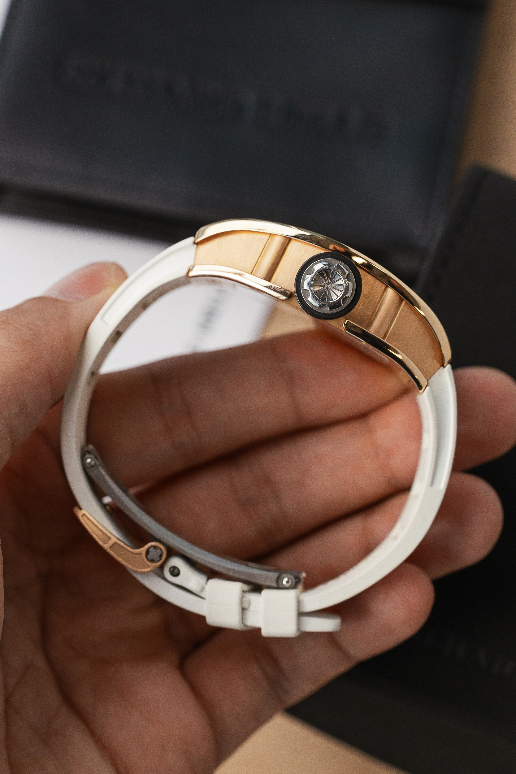 RICHARD MILLE RM 029 RG NEW FULL SET - Image 5