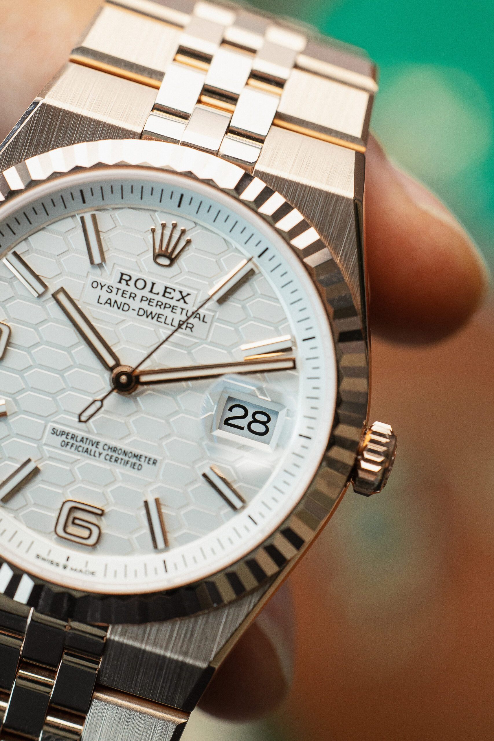 ROLEX 127335-0001 LAND DWELLER NEW 2025. - Image 11