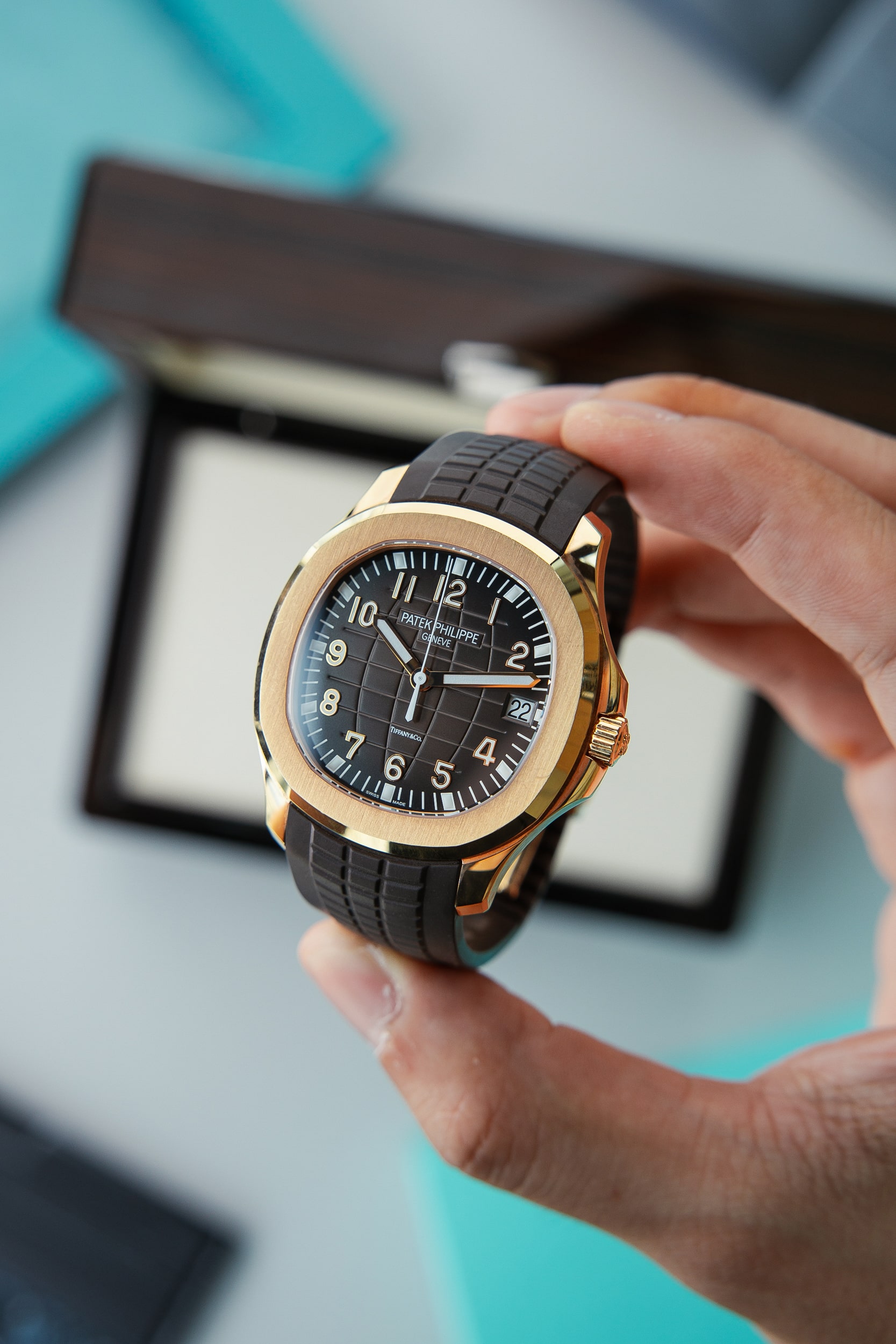 PATEK PHILIPPE 5167R TIFFANY - Image 2