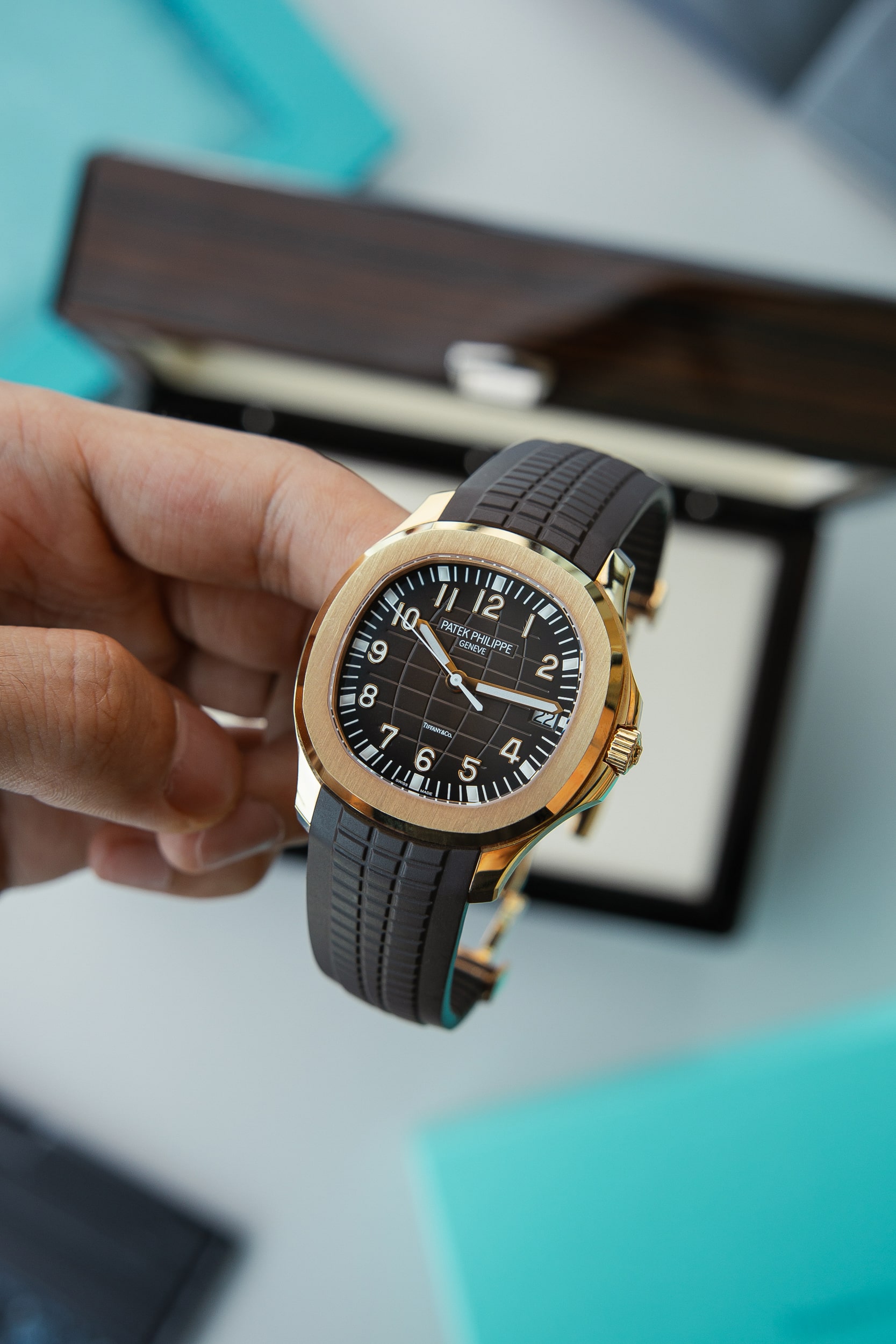 PATEK PHILIPPE 5167R TIFFANY - Image 6