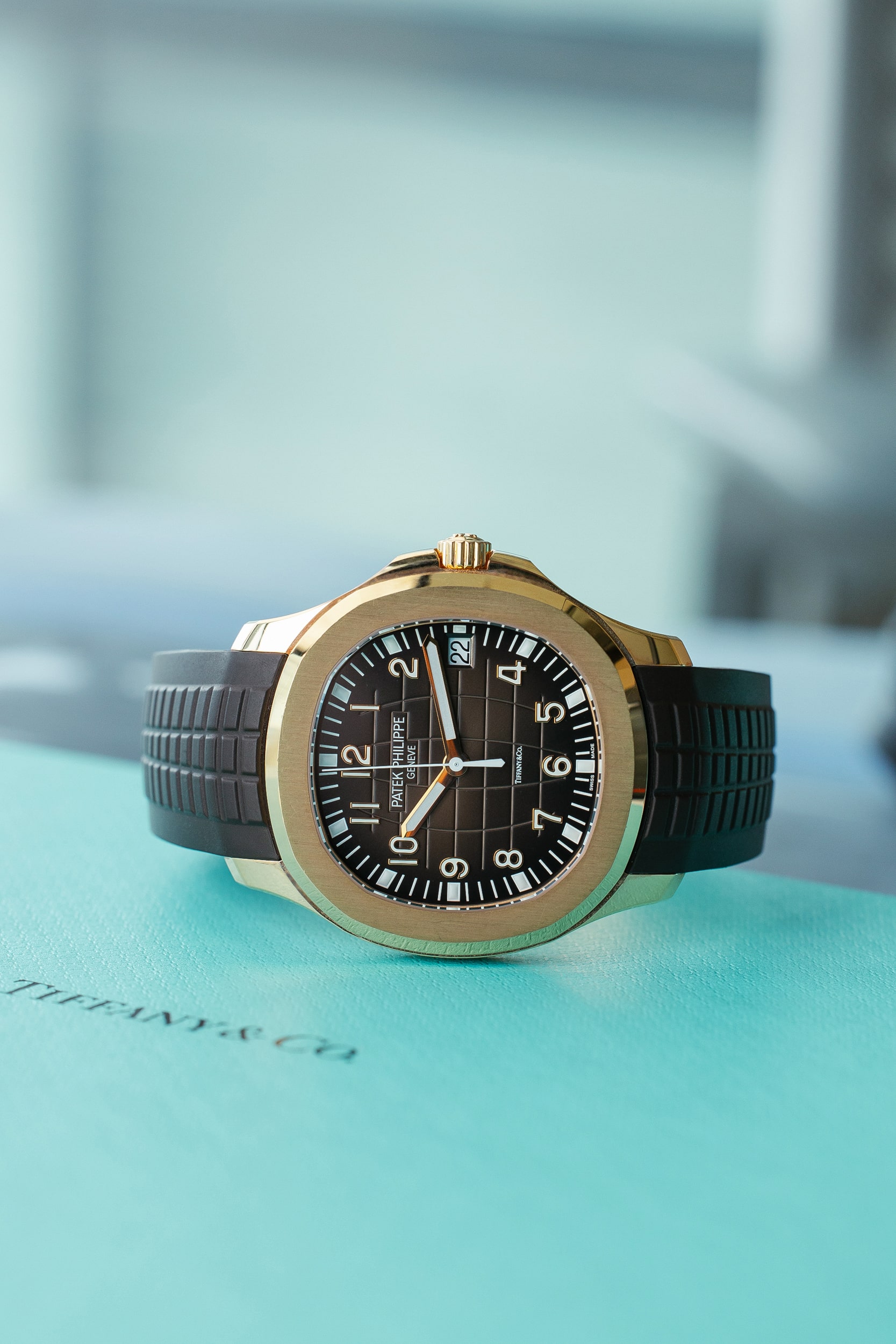 PATEK PHILIPPE 5167R TIFFANY - Image 10